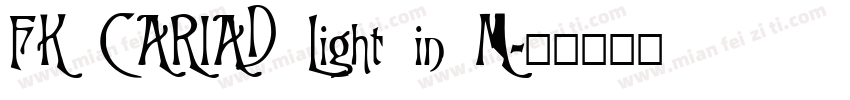 FK CARIAD Light in M字体转换